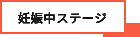 妊娠中ステージ